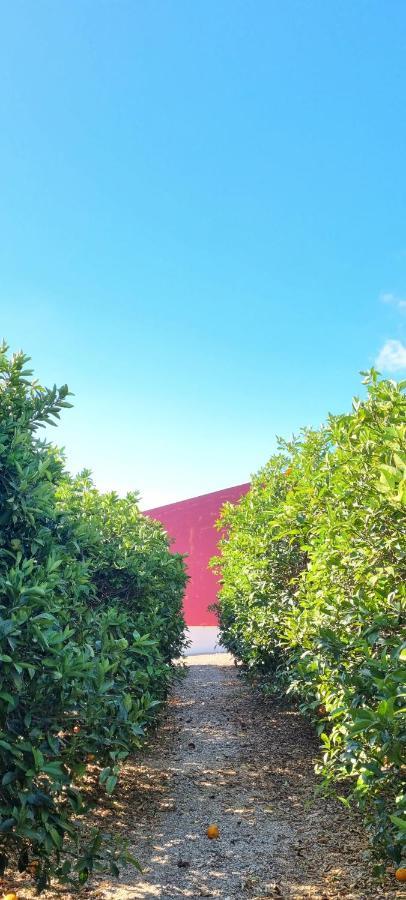 Quinta Dos I'S - Algarve Villa Ferrarias  Luaran gambar